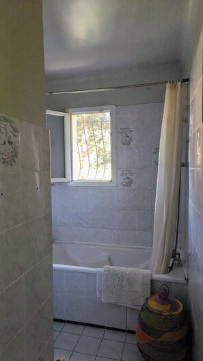 Secadora de cabello y papel de baño 
