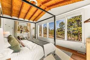 Room - Cozy 2 BR Wellness Cabin in Bailey, Yoga, Sauna, Mountain Views (Bailey)