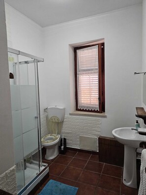Hair dryer, towels, soap, toilet paper