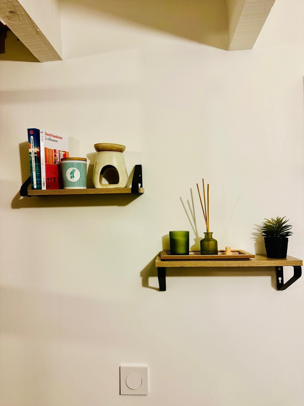 Two wall-mounted shelves with books, a candle, and a small plant.