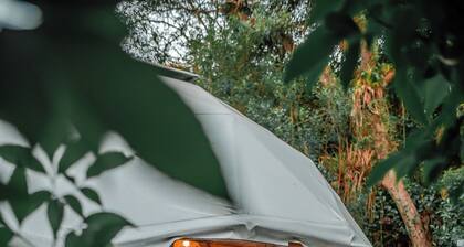 DOMO BALI - Surprise and be amazed!