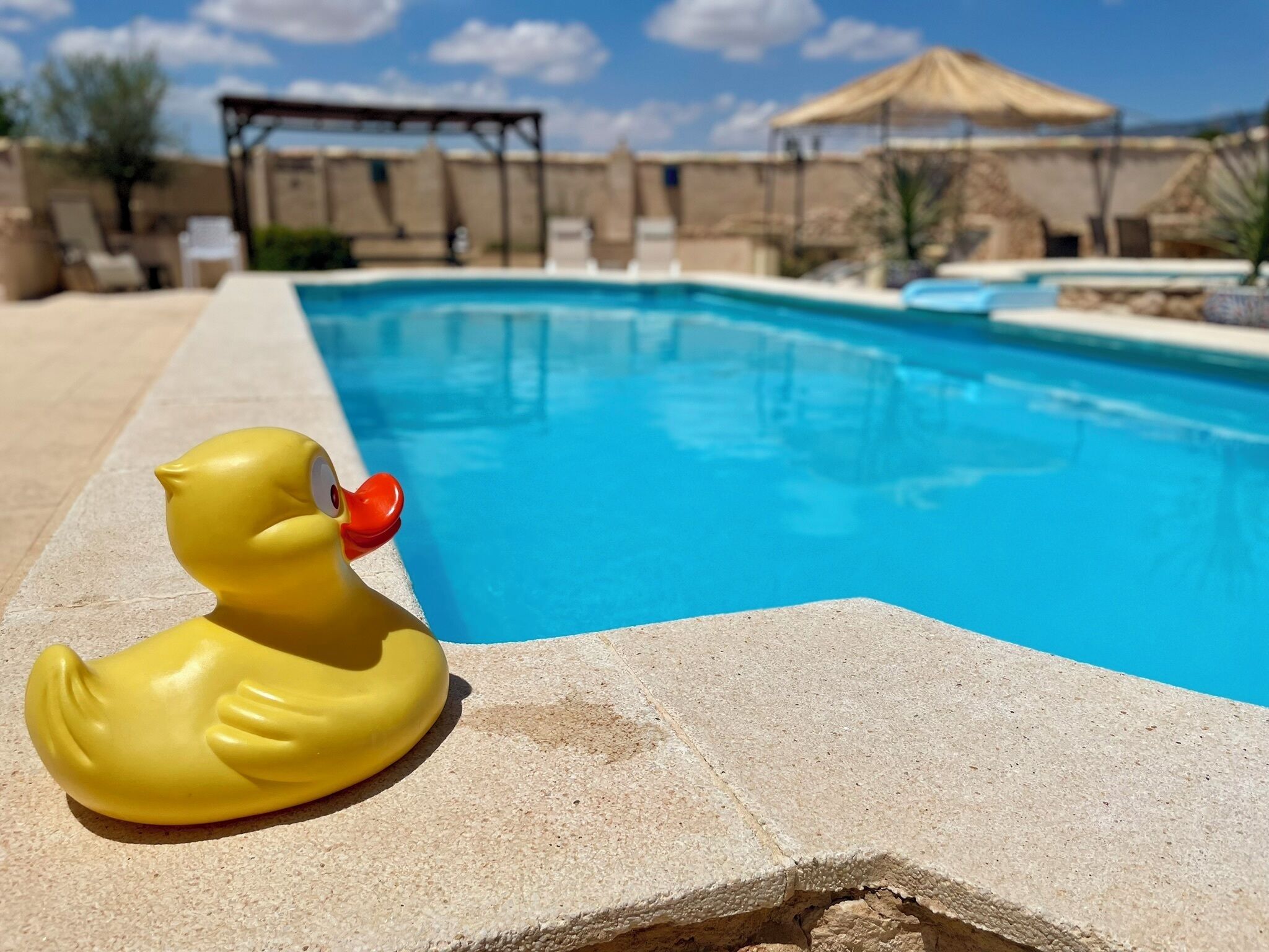 Casa, varias habitaciones, fumadores, piscina privada | Piscina