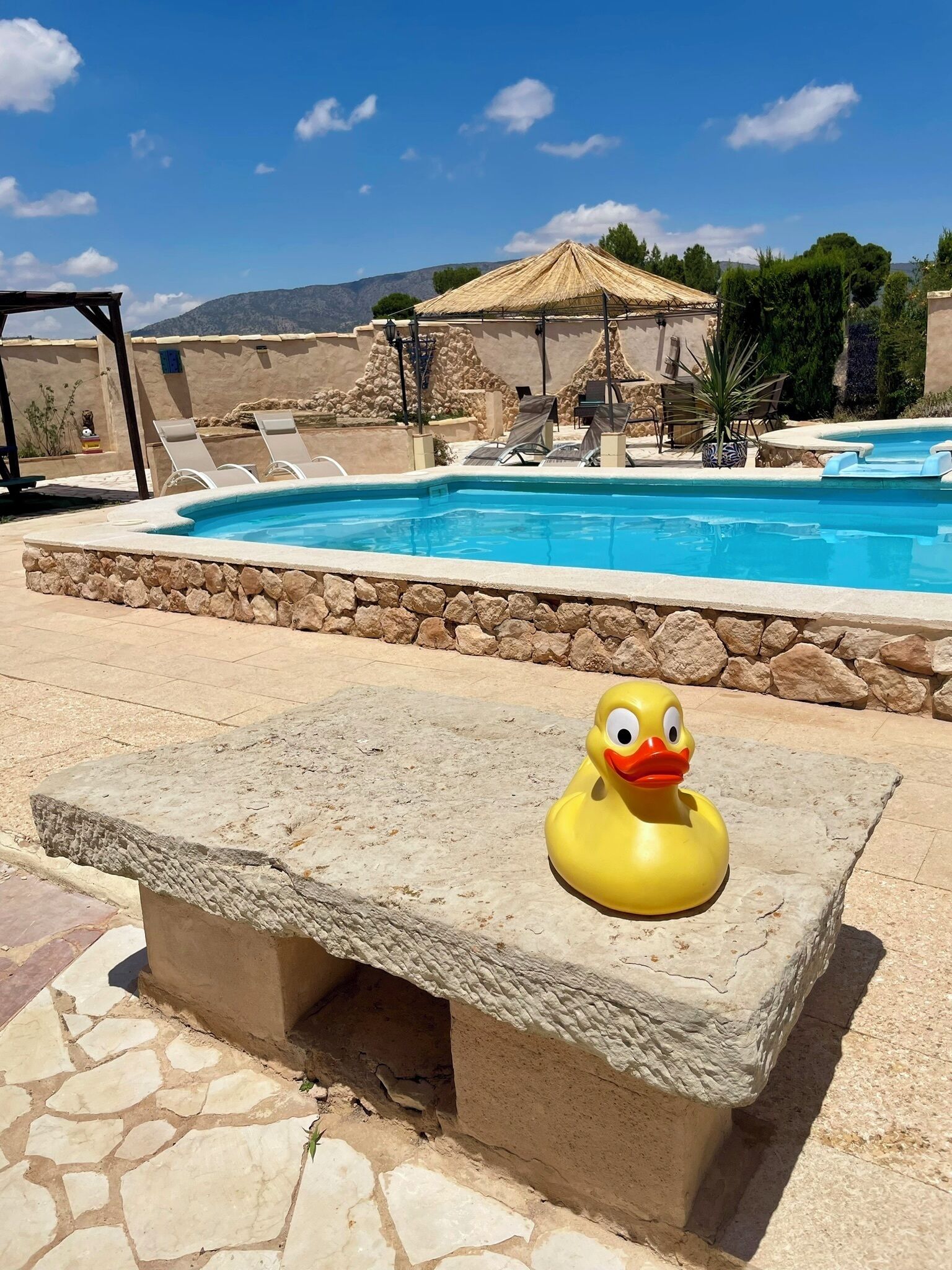 House, Multiple Bedrooms, Smoking, Private Pool | Pool