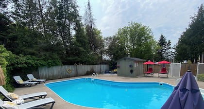 Black Horse Motor Inn