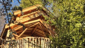 Una baita di legno con un balcone, immersa tra gli alberi.