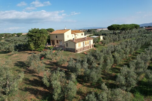 Our farm is surrounded by olive trees in Tuscany