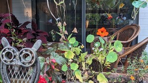 Eine Holzterrasse mit verschiedenen Pflanzen und Blumen, einer Metall-Eulendekoration und Korbmöbeln.