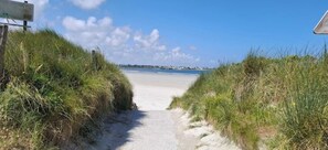 Playa en los alrededores y camastros 