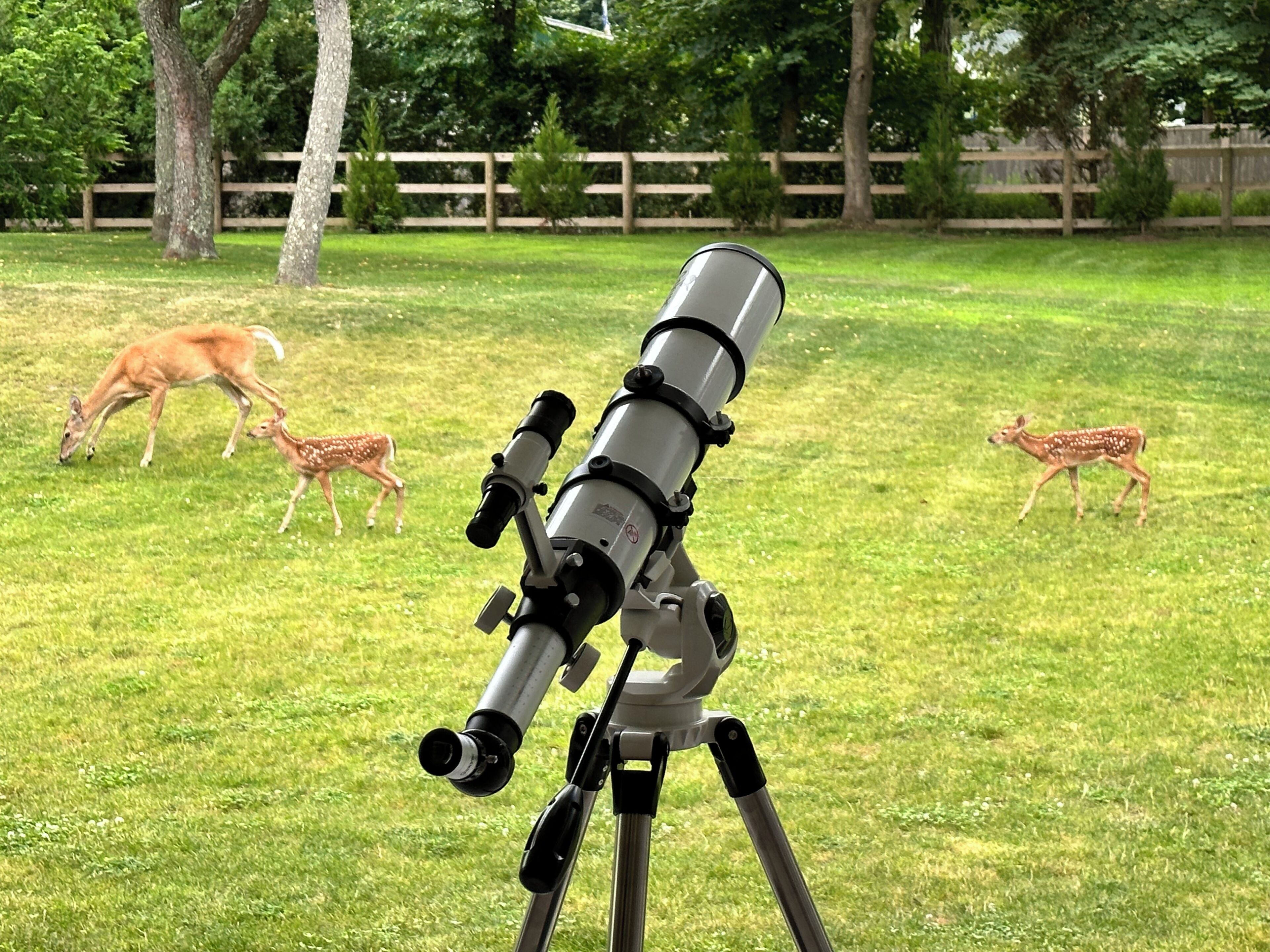 A telescope on a tripod in a grassy area with trees and a wooden fence in the background.