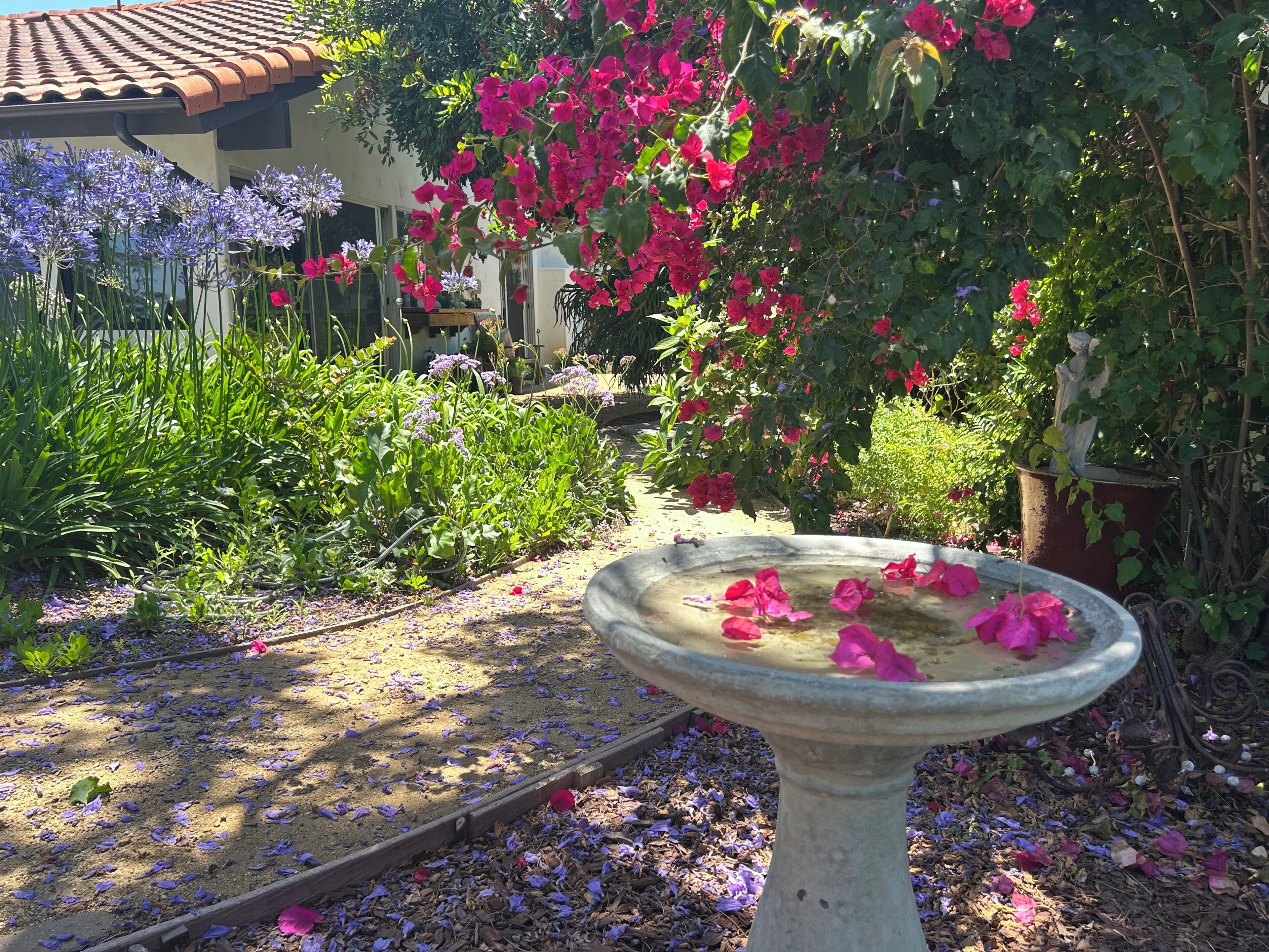 Un jardin agrémenté d’un abreuvoir à oiseaux, entouré de différentes plantes et fleurs.