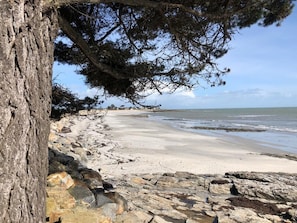 A beach with a rocky shoreline, a tree, and a clear sky. - 2-bedroom house, sleeps 5, 500 meters from the ocean (Sarzeau)