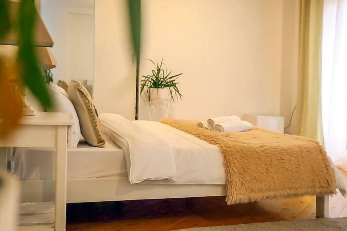 Une chambre à coucher avec un lit, une table de chevet, une plante et une fenêtre avec des rideaux.