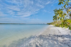 Une plage avec une eau claire, un rivage sablonneux et quelques plantes.