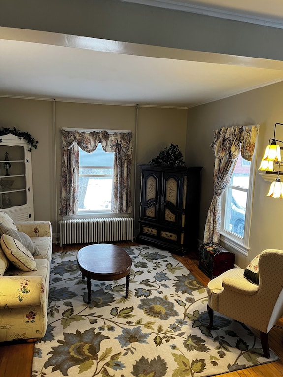 Luxury 1-bd First Floor Apt Near Crandall Park In Glens Falls - Glens Falls, NY