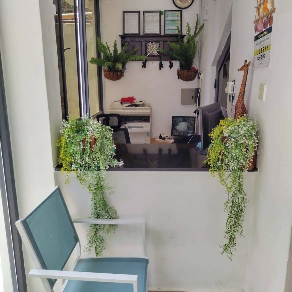 Un espace d’accueil comprenant un bureau, un ordinateur et deux plantes en pot.