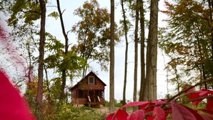 A rustic cabin surrounded by tall trees. - Secluded Shipshewana Log Cabin In the Woods (Shipshewana)