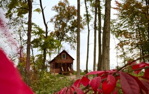 House - Secluded Shipshewana Log Cabin In the Woods (Shipshewana)