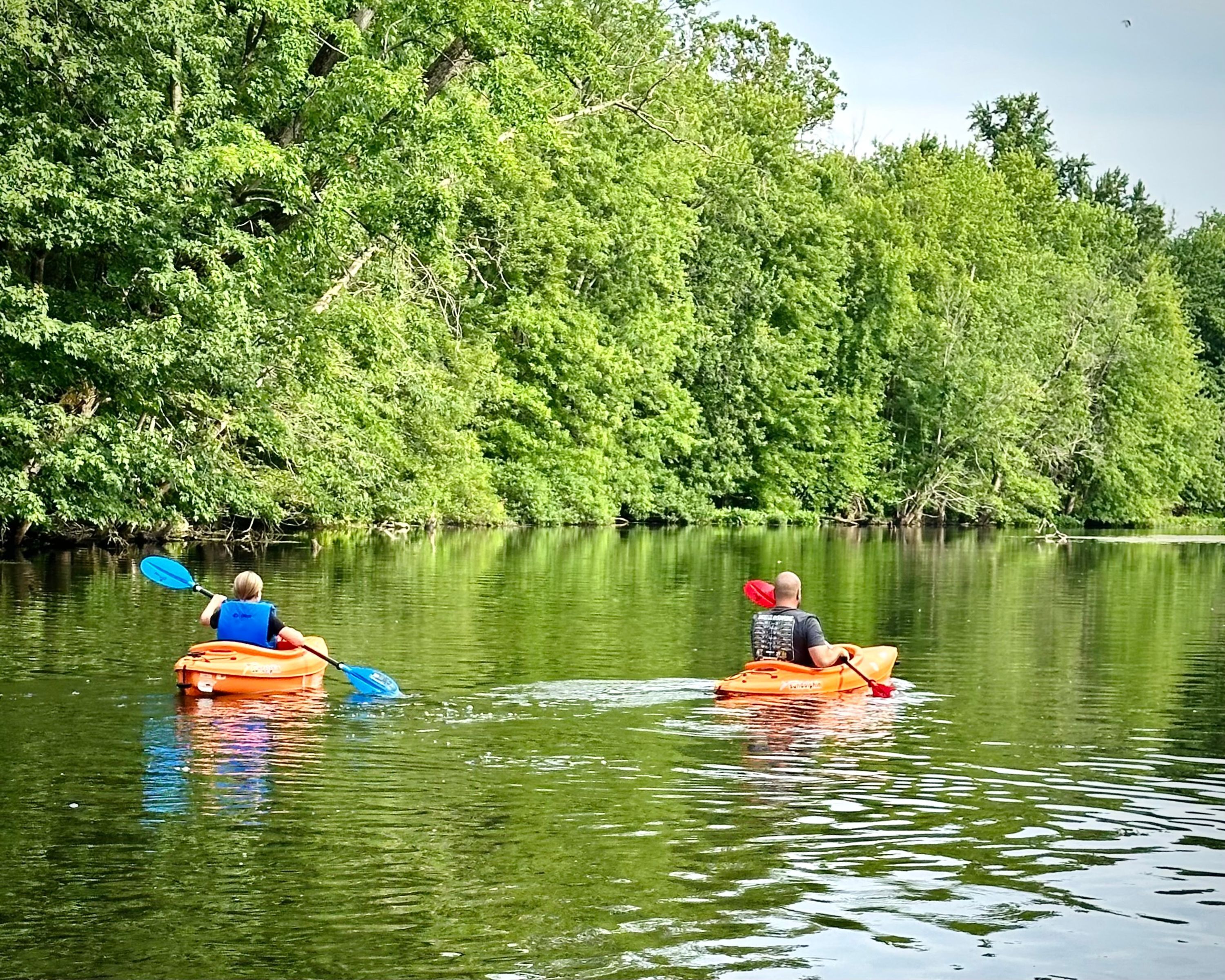 Dos personas kayakendo en un río tranquilo rodeado de abundante vegetación verde.