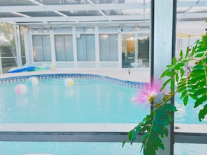 A pool area with a blue pool, surrounded by a fence. - Sarasota Family Home Private Heated Pool Relax (Sarasota)
