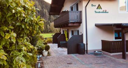 Appartement avec terrasse Ă Hollersbach