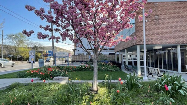 Un edificio de fachada de ladrillo y un jardín con árboles y plantas florecientes.