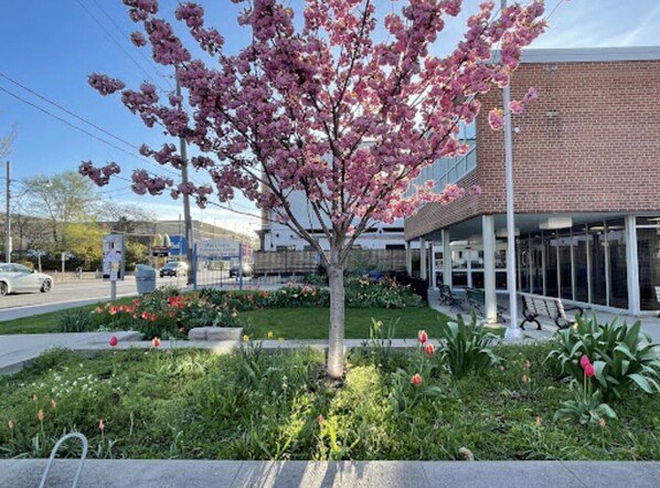 Terrain de l’hébergement 