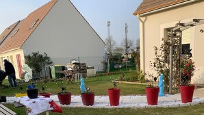 Un quartier résidentiel avec une allée pavée, une pelouse et plusieurs plantes en pot.