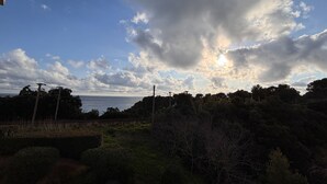 Eine Küstenlandschaft mit Blick auf das Meer, Bäume und einen klaren Himmel.
