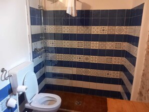 Een badkamer met een wit toilet, een douchegedeelte en een betegelde muur met blauwe en beige patronen.