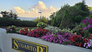 A sign for 'Sugartop' with a landscaped garden in the background. - Charming Ever Green 2-Bedroom Condo in Sugar Mountain with Resort Amenities (Sugar Mountain)