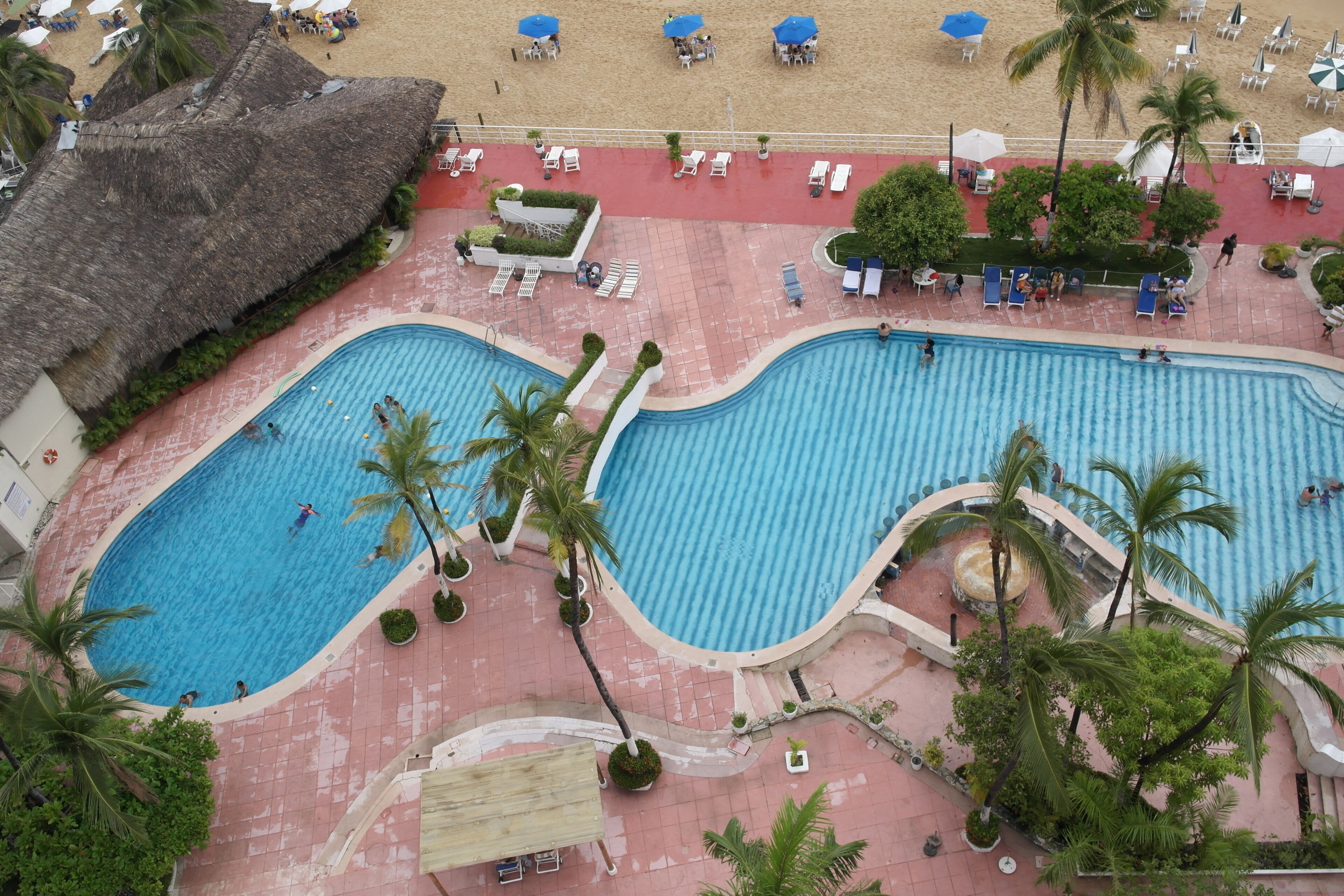 A large outdoor swimming pool with multiple lanes, surrounded by lounge chairs and palm trees.