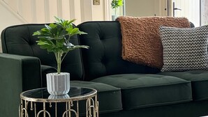 A green sofa with a plant on a metal table, a patterned rug, and a door in the background.