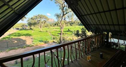 Lion Rock Haven Cabana