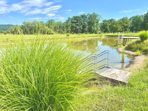 A tranquil outdoor setting with a small pond, a wooden walkway, and lush greenery.