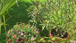 A lush garden with a variety of plants and flowers, a well-maintained lawn, and a rustic wooden structure in the background. - Romantic vacation apartment with large garden - 2 min. from private natural swimming lake (Kerkateskánd)