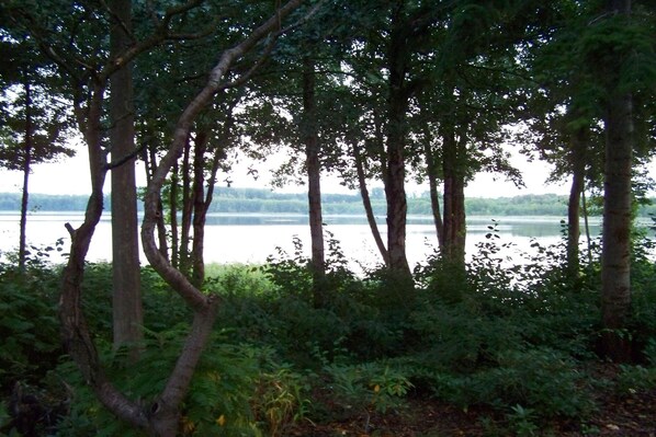 A natural landscape with trees and a body of water. - Mobile Home im Ferienpark mit Seezugang (Dabel)