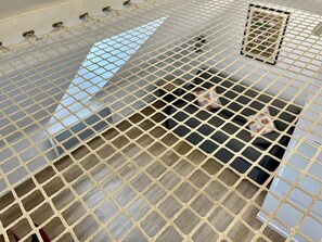 Interior - Le Mandragot: Studio No. 5 (BEDOUS)