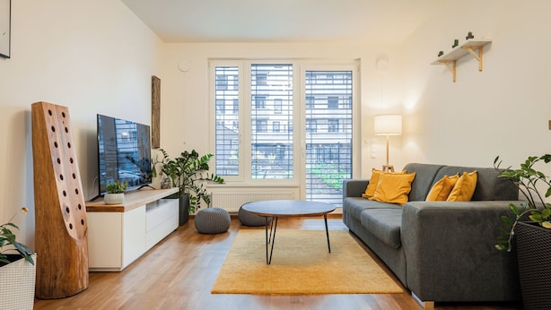 Una sala de estar moderna con un sofá gris, una mesa de centro y un televisor sobre un mueble de madera. Se observan ventanas con persianas, una planta y una estantería con pequeñas plantas.