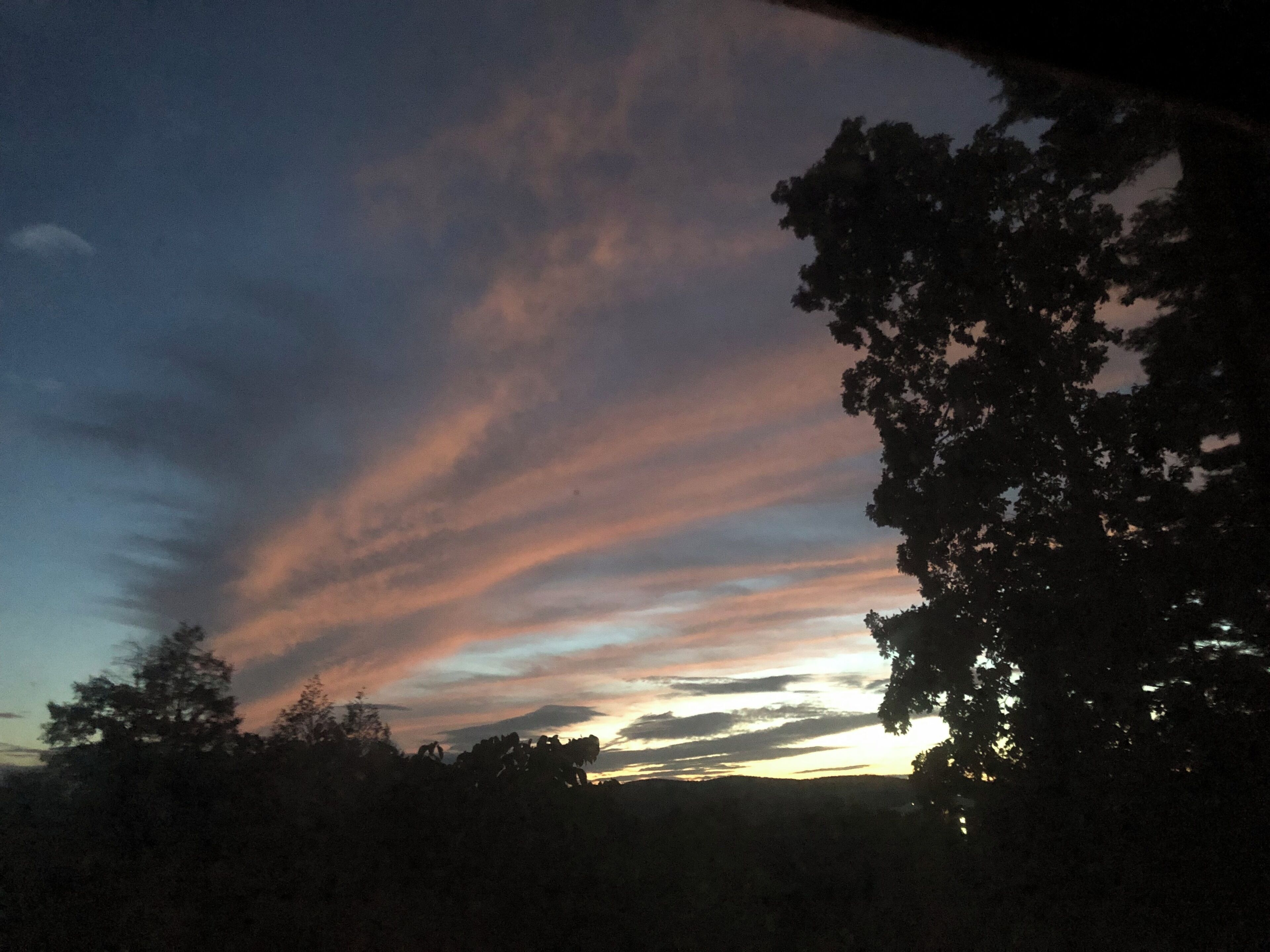Solnedgang med klar himmel og træer i silhuet.