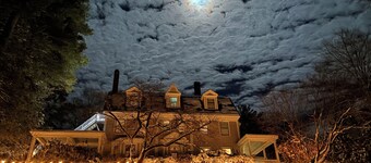 Light-filled treetop apartment close to downtown Greenfield and Highland Park