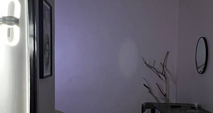 The Cozy Home Apartment