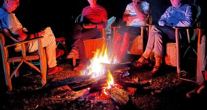 The Cozy Home Apartment