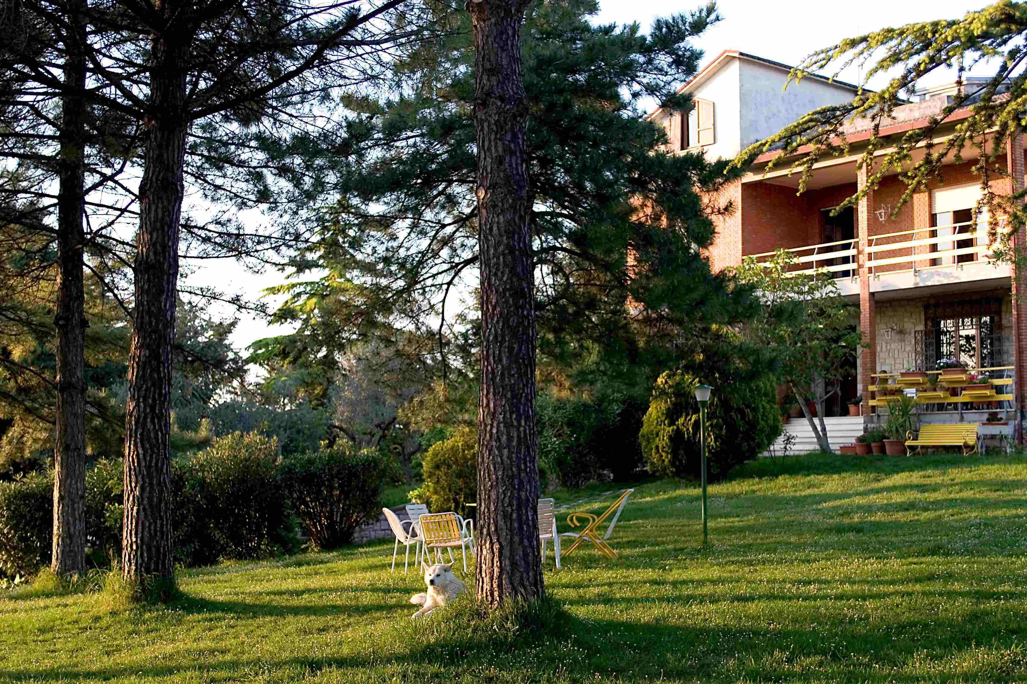 Área da propriedade