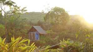 A small house surrounded by lush vegetation and a hill in the background. - NOMADIC MOUNTY SATHRAM  (Peermade)