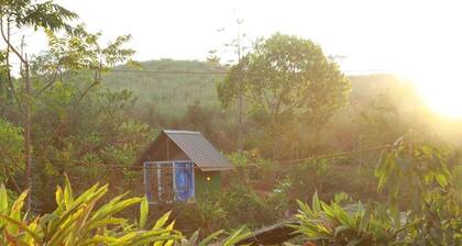 NOMADIC MOUNTY SATHRAM