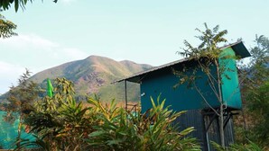 A building with a green exterior and a mountain in the background. - NOMADIC MOUNTY SATHRAM  (Peermade)