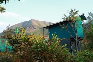 캐빈, 산 전망 | 기타