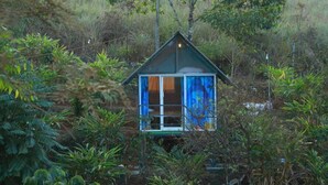 A small, glass-roofed cabin nestled among dense foliage. - NOMADIC MOUNTY SATHRAM  (Peermade)