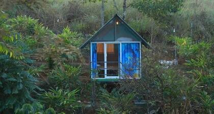 NOMADIC MOUNTY SATHRAM