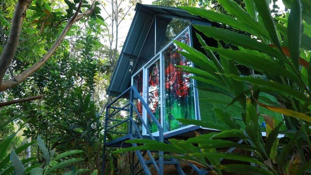 A glass structure surrounded by dense foliage. - NOMADIC MOUNTY SATHRAM  (Peermade)